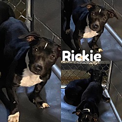 Photo of Rickie