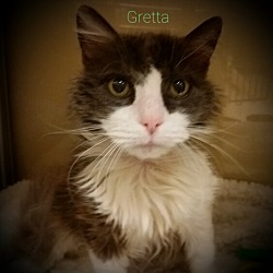 Thumbnail photo of Gretta #1