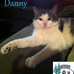 Thumbnail photo of Danny w/Amber July 2017 #3