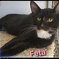 Photo of Feta