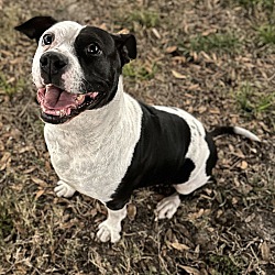 Photo of Eloise