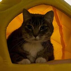 Photo of Phoebe