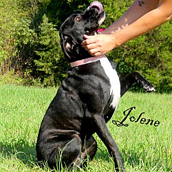 Thumbnail photo of Jolene ~ meet me! #2