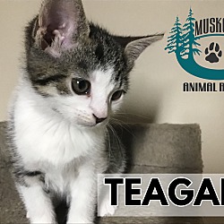 Photo of Teagan - Pretty Girl