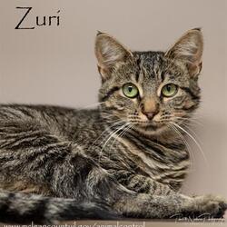 Photo of ZURI
