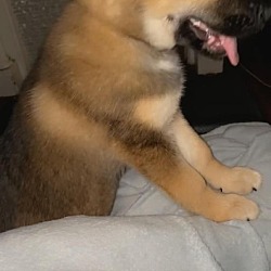 Photo of Luhv