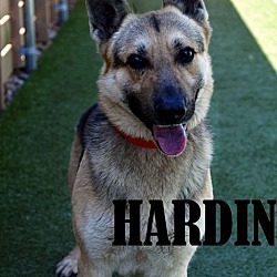 Photo of Hardin