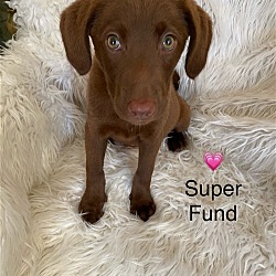 Photo of Super Fund