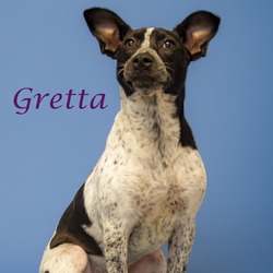Photo of Gretta (D24-079)