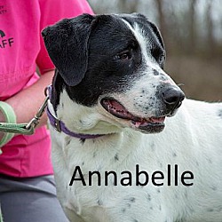 Thumbnail photo of Annabelle #2
