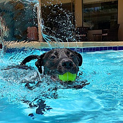 Thumbnail photo of Rocket #2