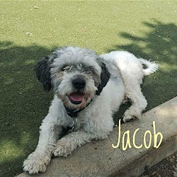 Thumbnail photo of Jacob #1