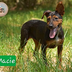 Thumbnail photo of Macie #2