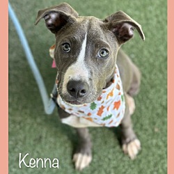 Thumbnail photo of KENNA #4