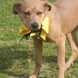 Photo of SARA