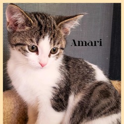 Photo of Amari