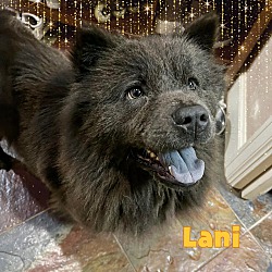 Photo of Lani