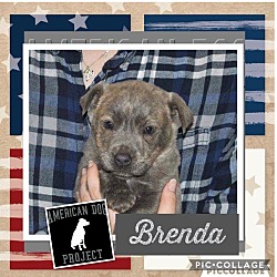Photo of Brenda