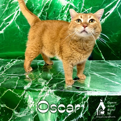 Thumbnail photo of OSCAR #1