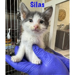 Photo of Silas
