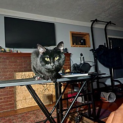 Photo of Yadoon