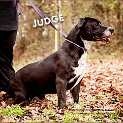 Thumbnail photo of Judge #1