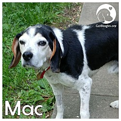 Thumbnail photo of Mac #1