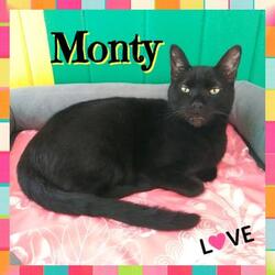 Photo of Monty
