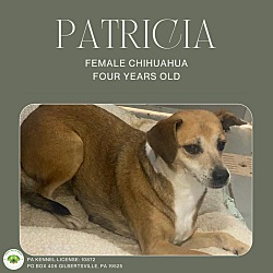 Thumbnail photo of Patricia #1