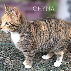 Thumbnail photo of Chyna #2