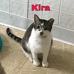 Photo of Kira