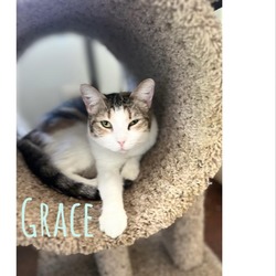 Photo of Grace