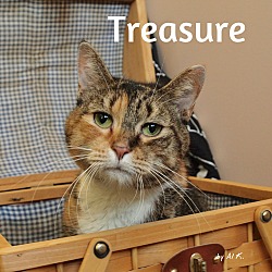 Thumbnail photo of Treasure #1