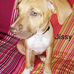 Thumbnail photo of Jissy #2