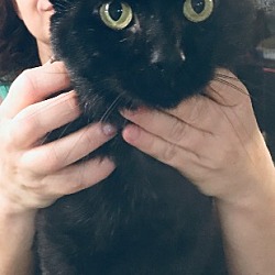 Thumbnail photo of Boris #2