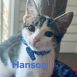 Photo of Hanson