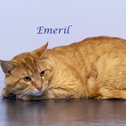 Photo of Emeril (C24-120)