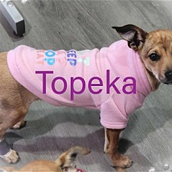 Photo of Topeka