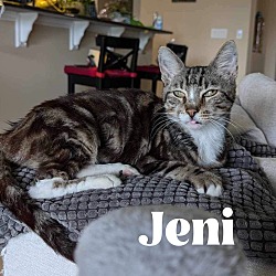 Thumbnail photo of Jeni #1