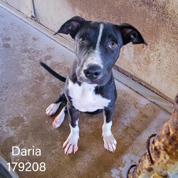 Photo of Daria