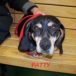 Thumbnail photo of PATTY #1