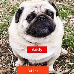 Thumbnail photo of Andy #1