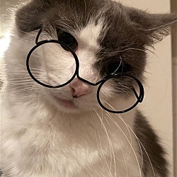 Photo of Icy