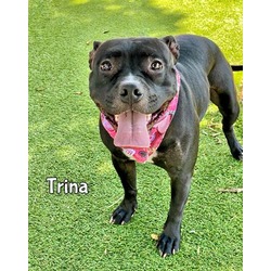 Photo of TRINA