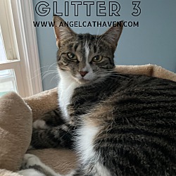 Photo of Glitter 3