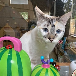 Photo of Nami