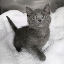 Photo of Wednesday
