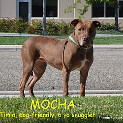 Thumbnail photo of MOCHA #2