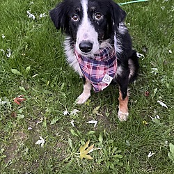 Photo of Jack