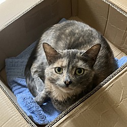 Photo of Jasmine